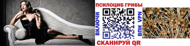 Галлюциногенные грибы мухоморы  KRAKEN сайт  Луза 