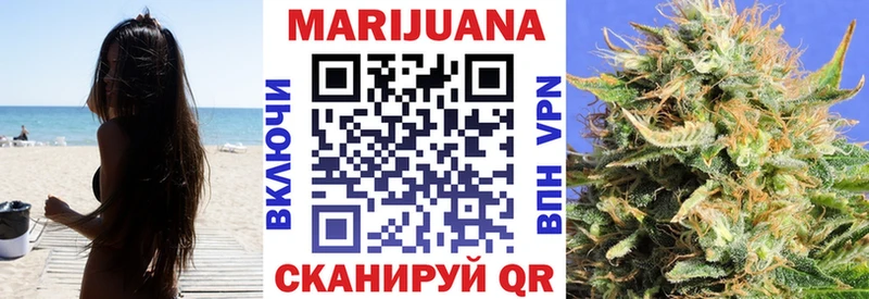 Каннабис SATIVA & INDICA  Луза 